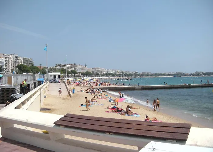 Nature 2 Pieces 3 Etoiles Calme Plein Centre 5 Mn Des Plages Et Palais 公寓