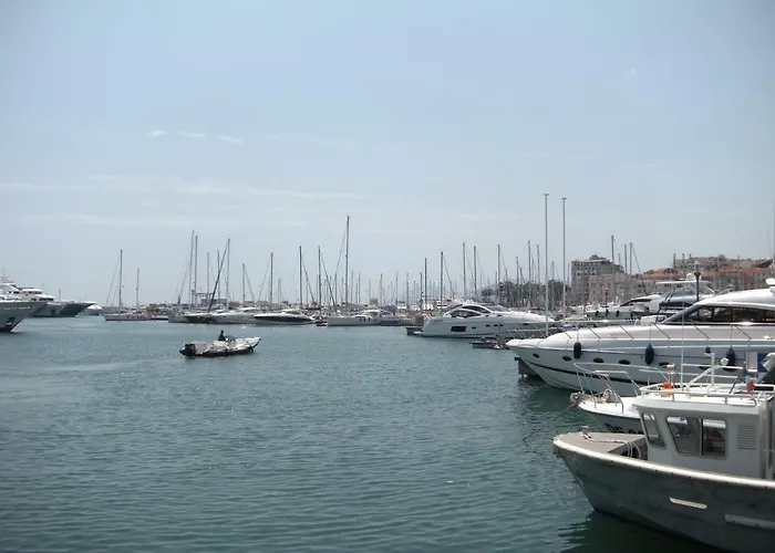 Nature 2 Pieces 3 Etoiles Calme Plein Centre 5 Mn Des Plages Et Palais 公寓 *