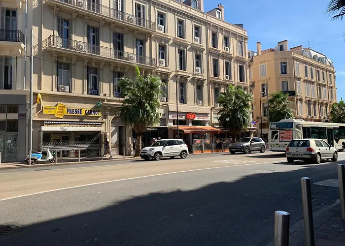 Nature 2 Pieces 3 Etoiles Calme Plein Centre 5 Mn Des Plages Et Palais